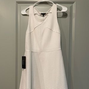 White Size 2 The Limited Dress NWT